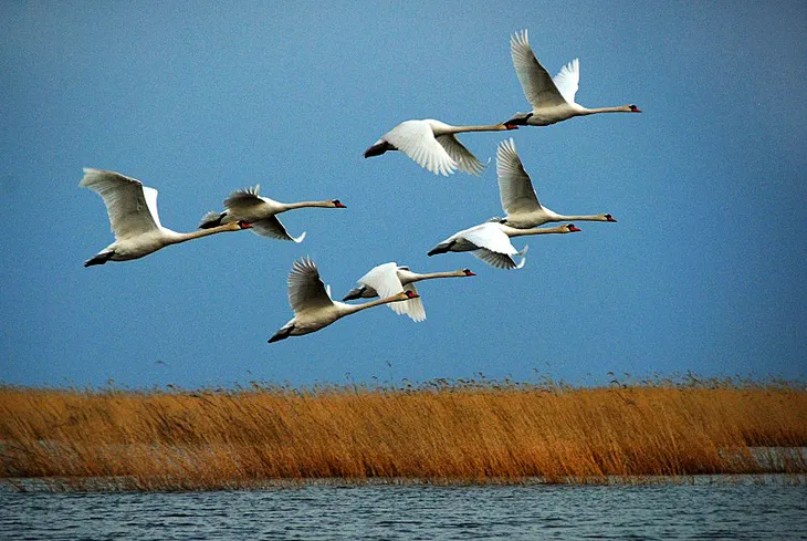 1450107298117662.jpg 10001.jpg