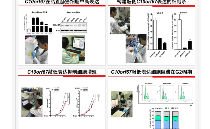 屏幕快照 2020-07-13 下午5.18.48.png