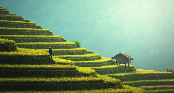 agriculture-1807581_1280.jpg