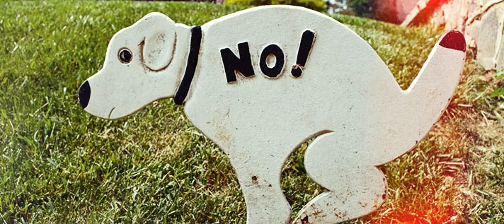 no.jpg