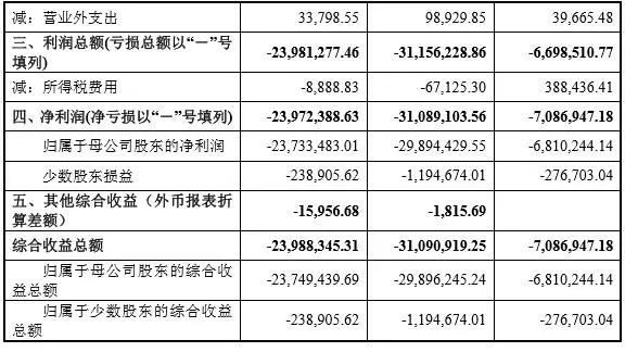 合并利润表2.jpg