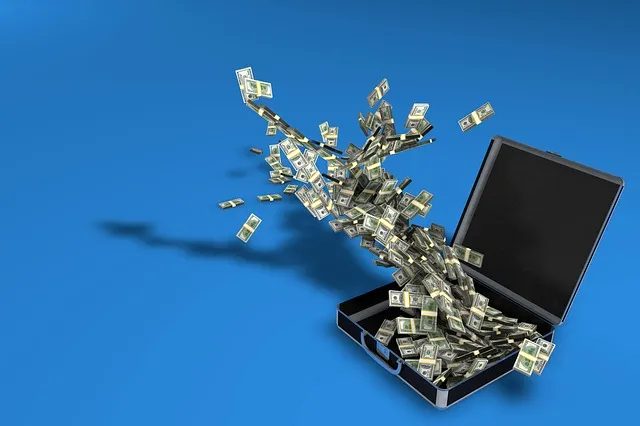 money-case-163495_640.jpg