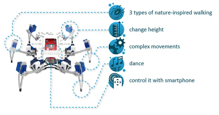 STEMI-A-Hexapod-Robot-That-Can-Be-Built-By-A-13-Year-Old-3.png