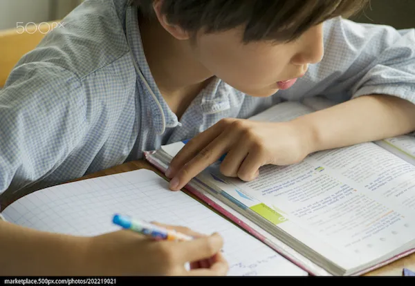 stock-photo-boy-studying-202219021.jpg