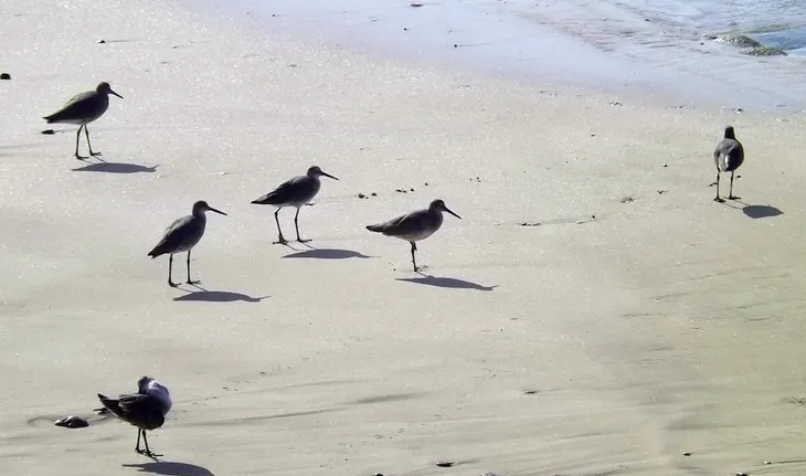 屏幕快照 2018-02-06 下午6.32.48.jpg