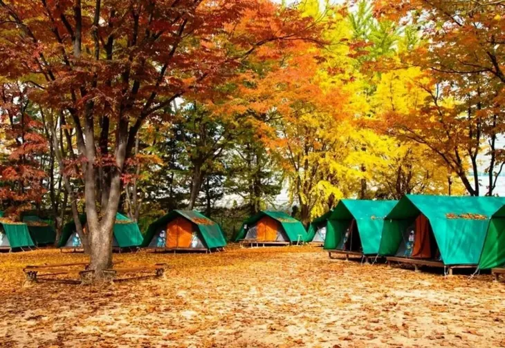 640[1].jpg
