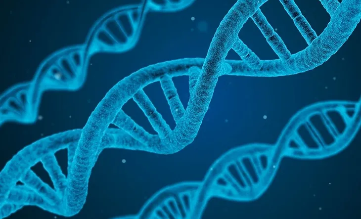 屏幕快照 2018-07-01 下午5.00.55.jpg