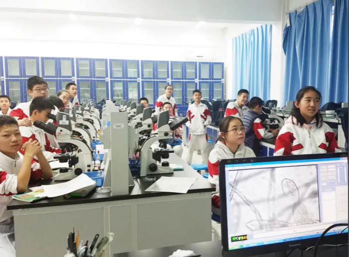 屏幕快照 2018-07-25 18.17.17_meitu_1.jpg