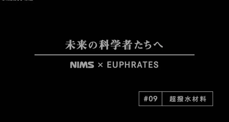 p.jpg