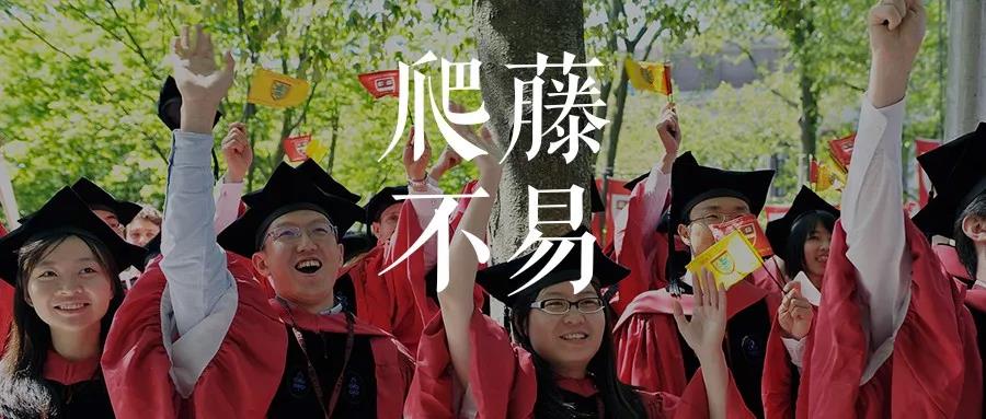 爬藤”明与暗：868名中国高中生如何进藤校| 芥末堆