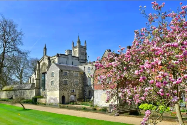 屏幕快照 2019-10-28 上午11.42.38.png