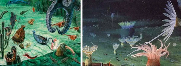 屏幕快照 2019-12-09 下午2.23.21.png