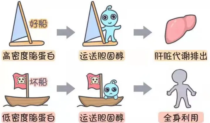 图片30.png