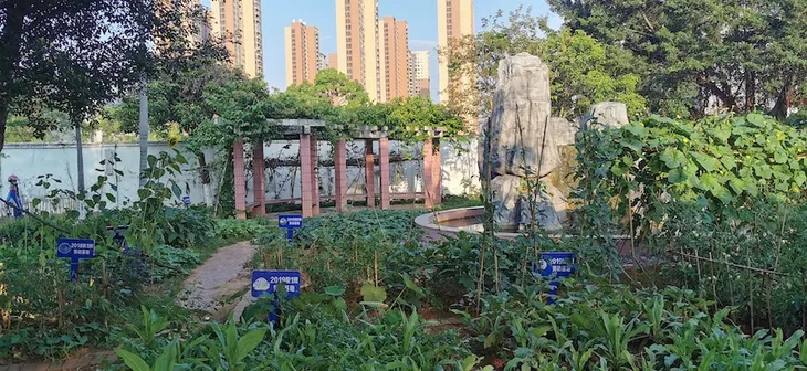各班级劳动基地1.JPG