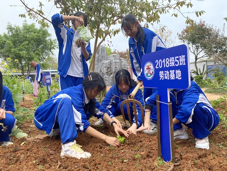 各班级劳动基地2.JPG
