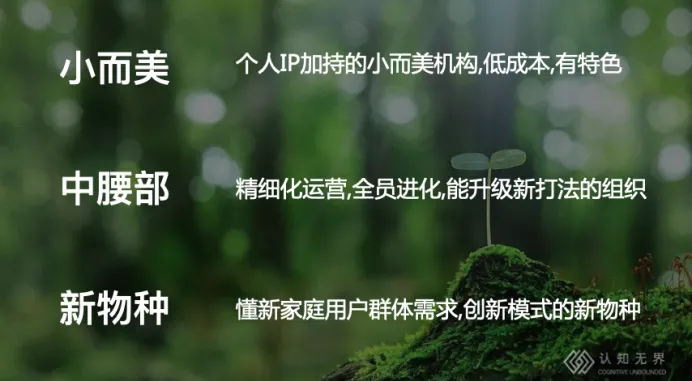 9c6989a9724097abdc16192821a97c30.jpg