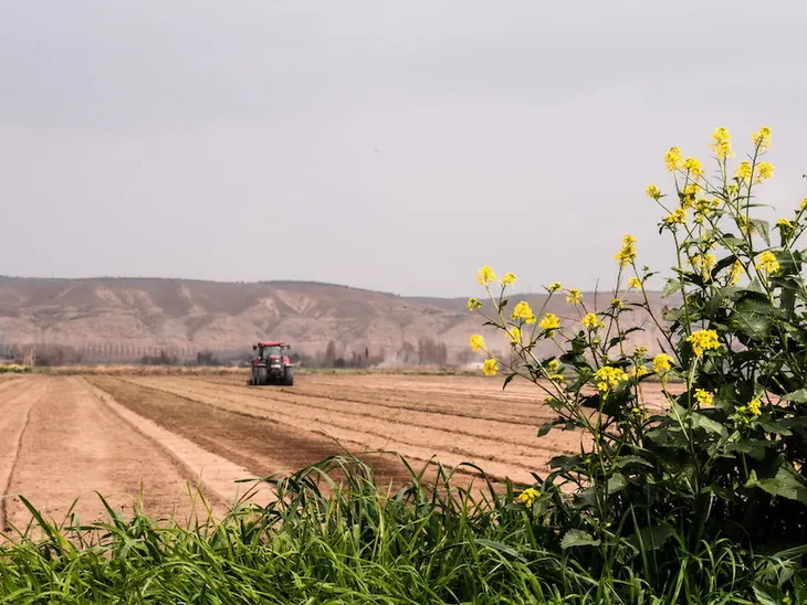 photo-1615149596814-f1c1364eb077.jpeg