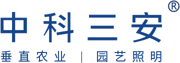 中科三安