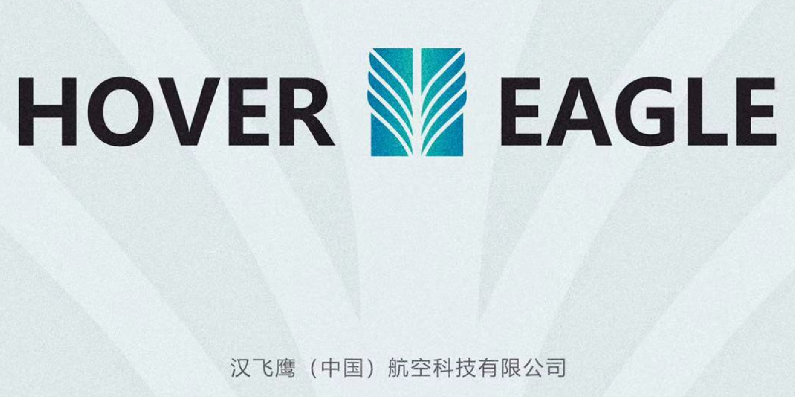 汉飞鹰