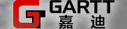 嘉迪模型