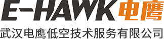 武汉电鹰低空技术服务有限公司
